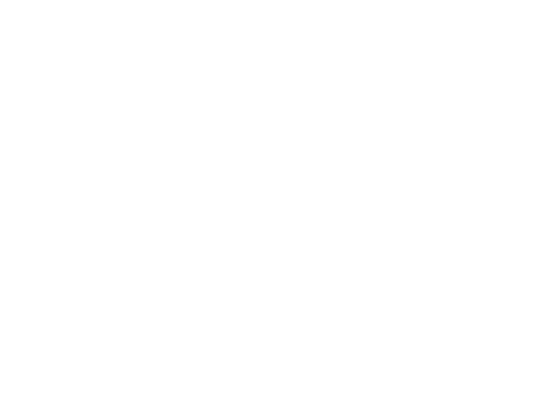 Never Seen Again