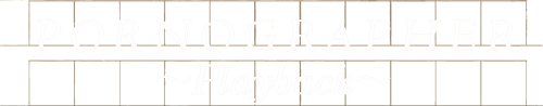 Pornographer: Playback