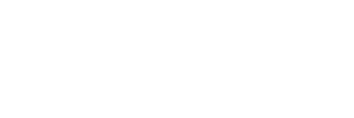 The Mimic