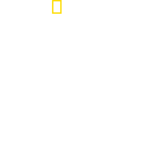 Inside the SS