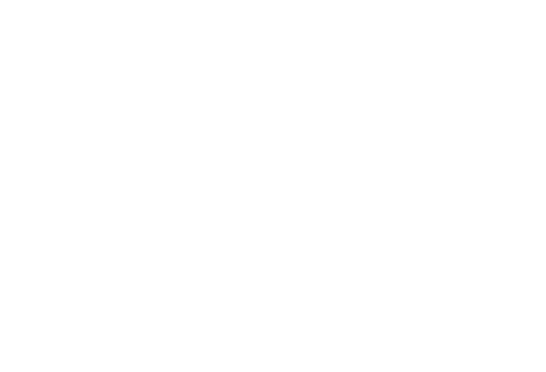 Bordertown