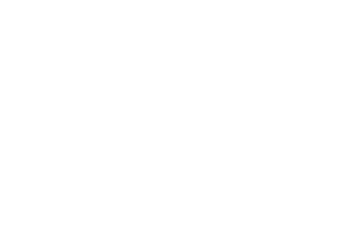 The Flash