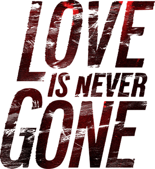 Love Is Never Gone