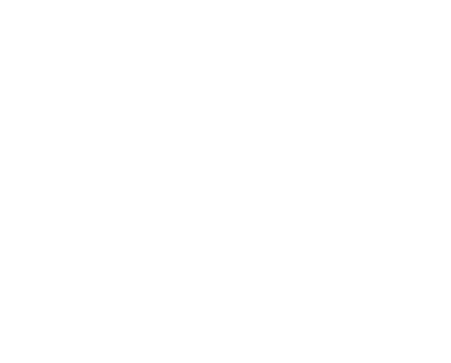 Dead Birds