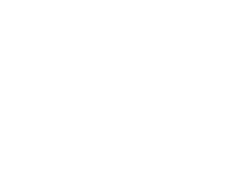 The Long Kiss Goodnight