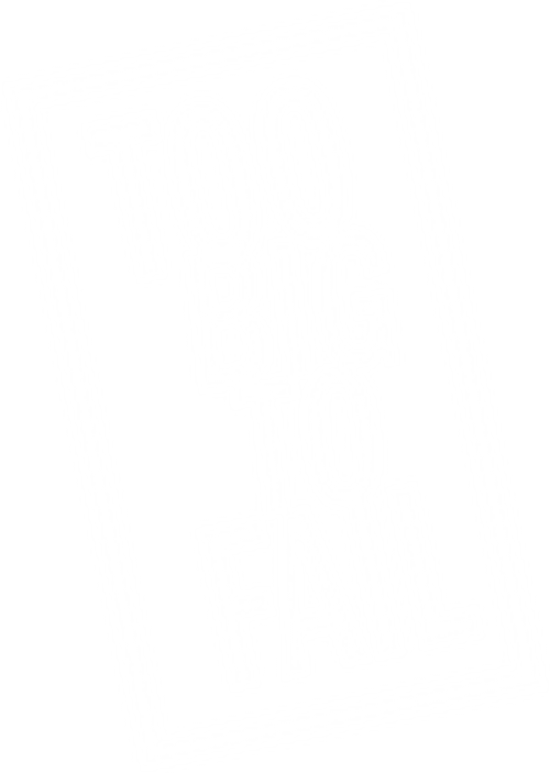 Too Big to Fail