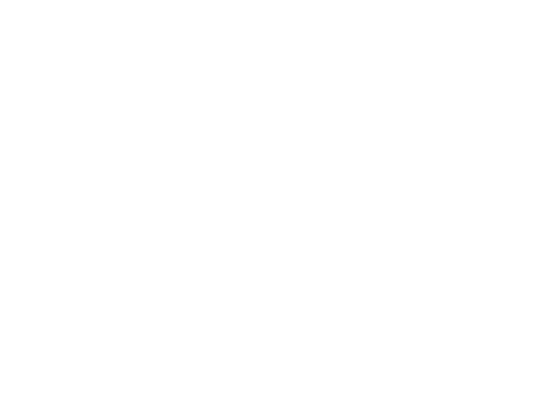 Y: The Last Man