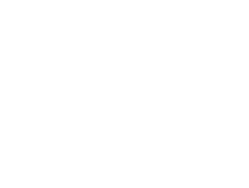 Spirit Untamed