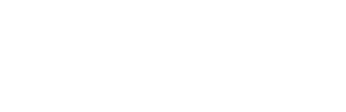 Into The Ring