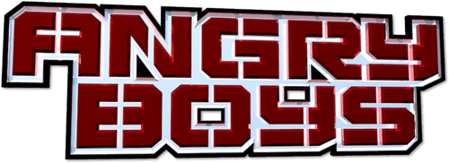 Angry Boys