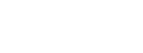 The Girl in the Spider's Web