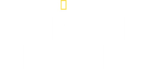 Killer Shark Vs. Killer Whale