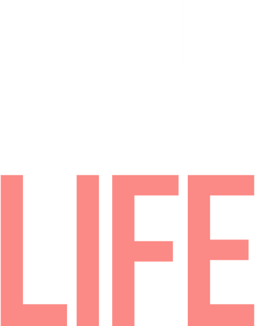 Another Day of Life