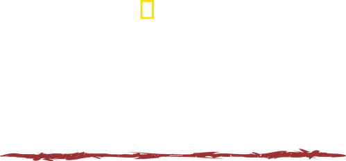 Primal Survivor