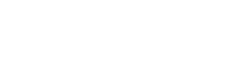F for Fake