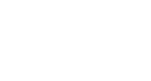 Fateful Love