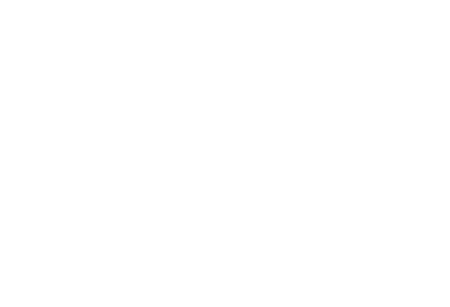 The Ladies Man