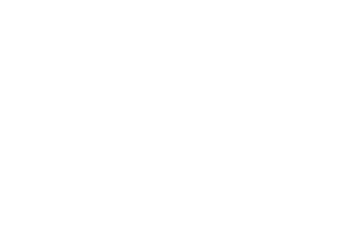 Salvage Hunters