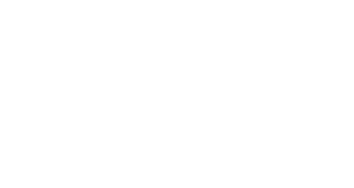 Enter the Ninja