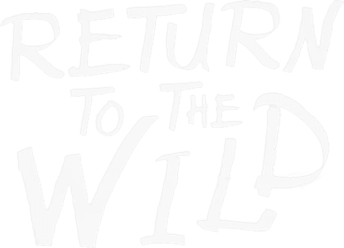 Return to the Wild: The Chris McCandless Story