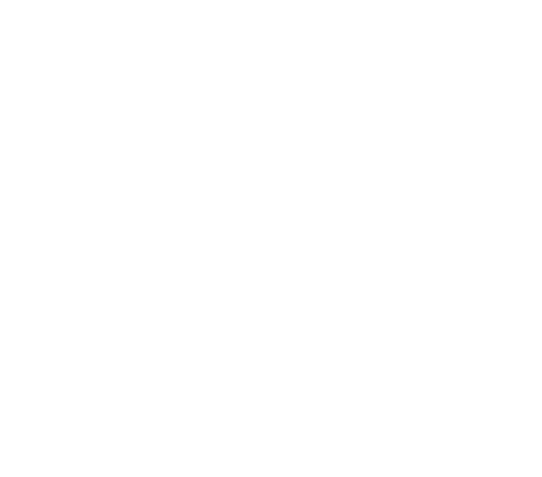 The First Slam Dunk