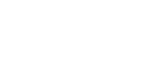 The Hotel Inspector
