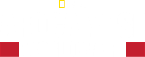 Apocalypse: World War I