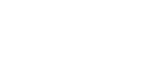 The Littlest Outlaw