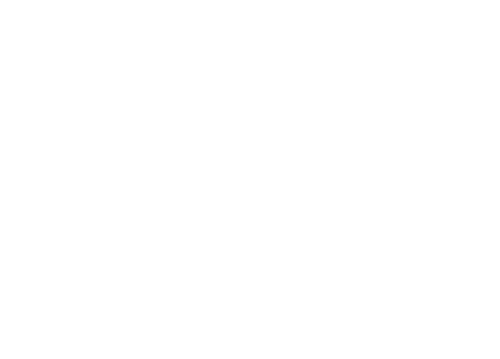 Portraits from a Fire