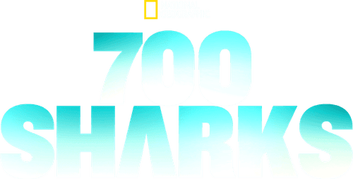 700 Sharks
