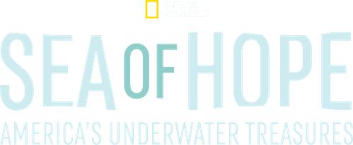 Sea of Hope: America's Underwater Treasures
