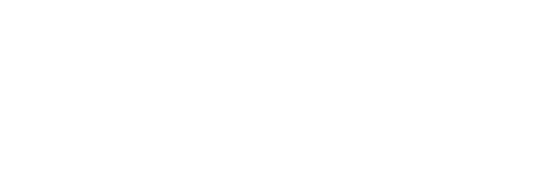 2010