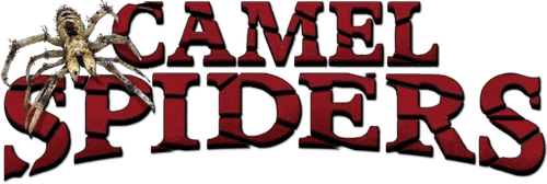 Camel Spiders